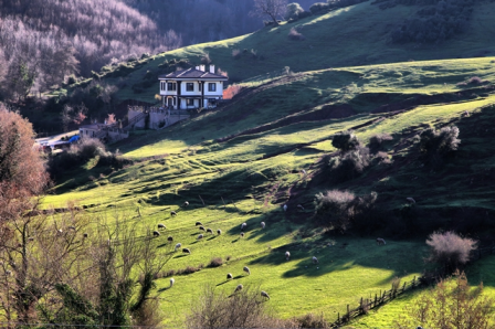 ŞİLE ‘GELECEK TURİZMDE’ DEDİ