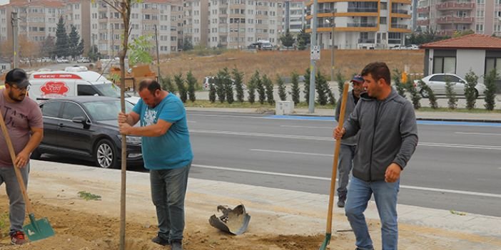 EDİRNE YENİ BİR PARKA KAVUŞUYOR