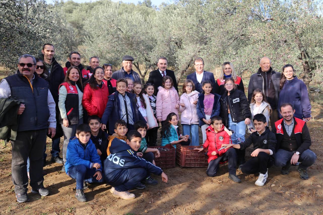 Başkan Arslan Öğrencilerle Zeytin Hasadı Yaptı