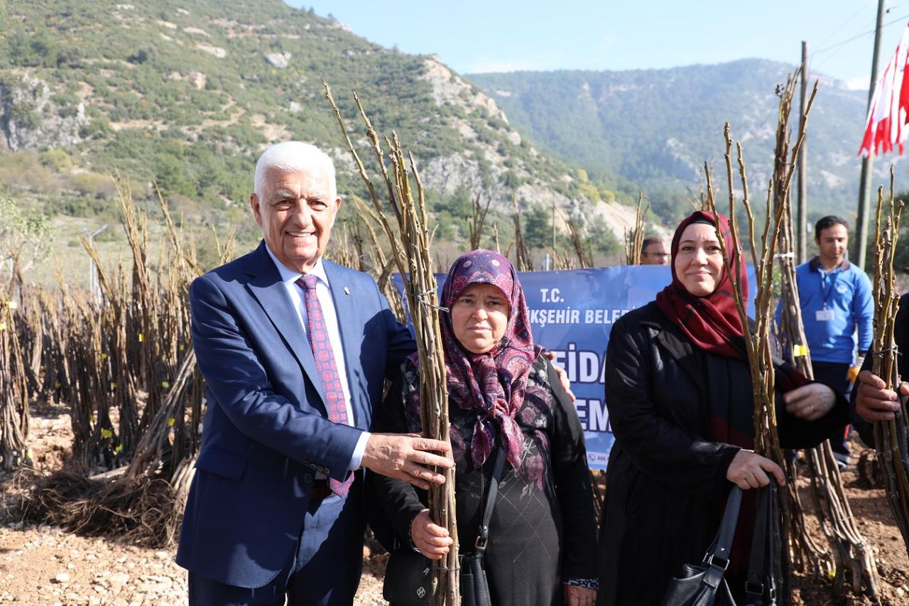 Büyükşehir Meyve Fidanı Desteğine Başlıyor