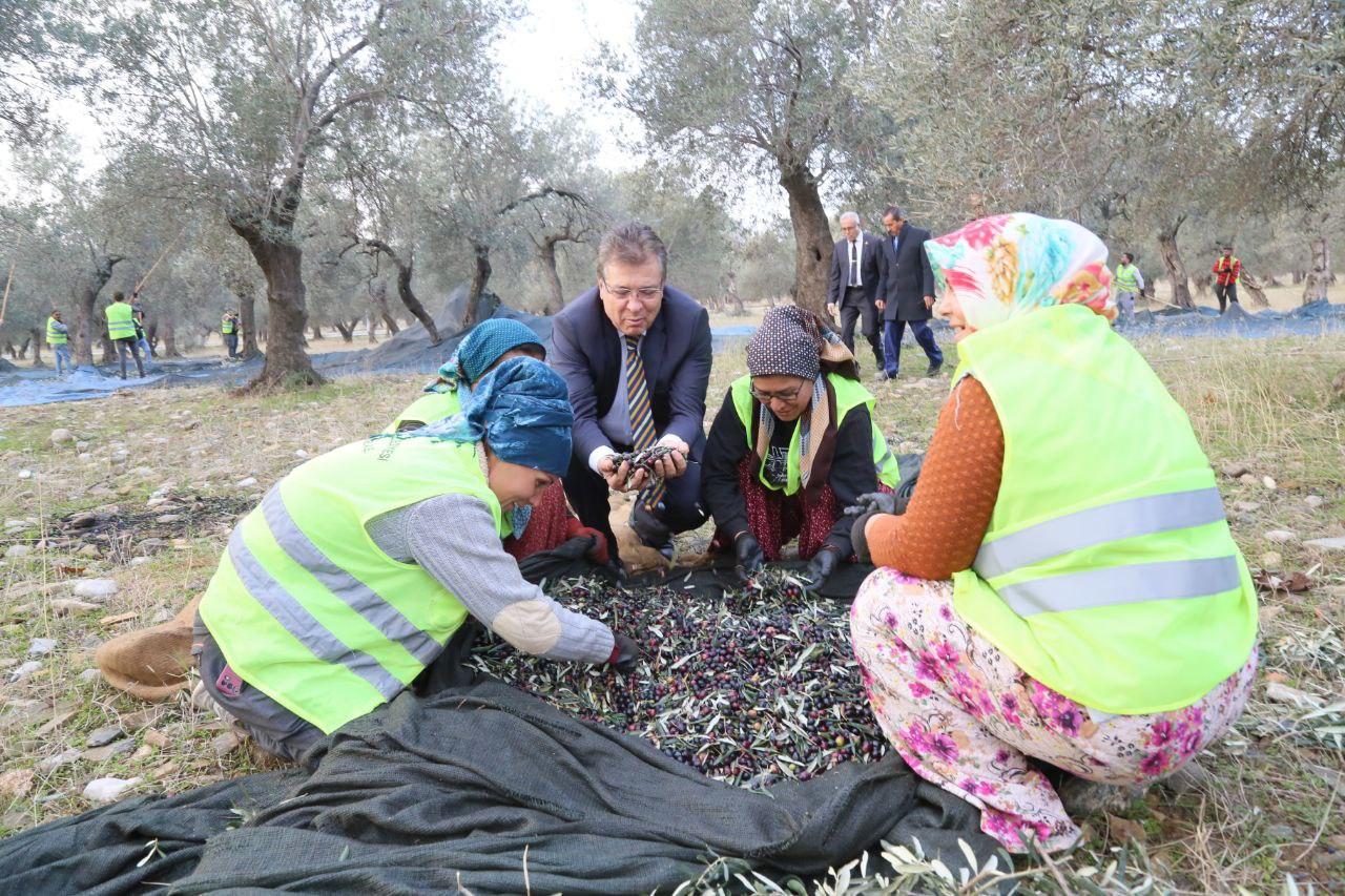 Başkan Arslan Zeytin İşçilerine Teşekkür Etti