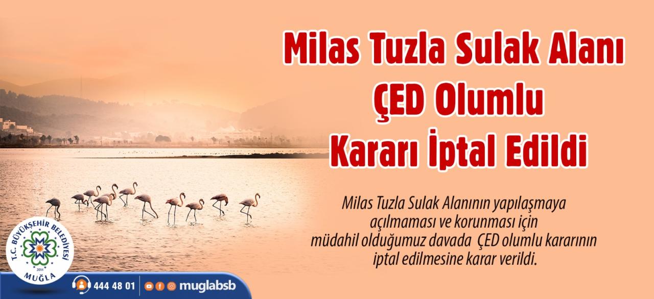 Milas Tuzla Sulak Alanı İçin ÇED Olumlu Kararı İptal Edildi