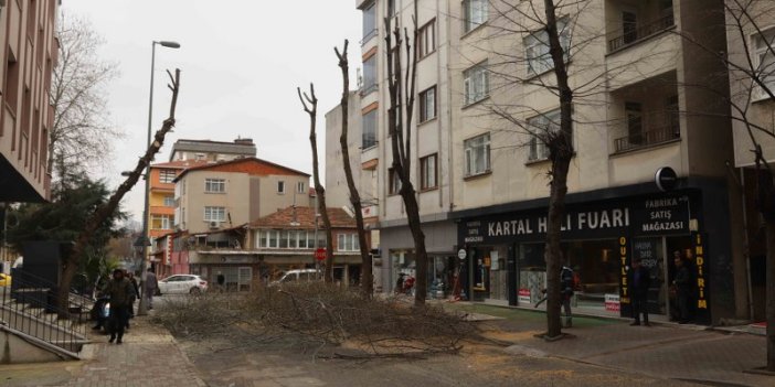 Kartal’da Bahara Hazırlık İçin Binlerce Ağaç Budandı