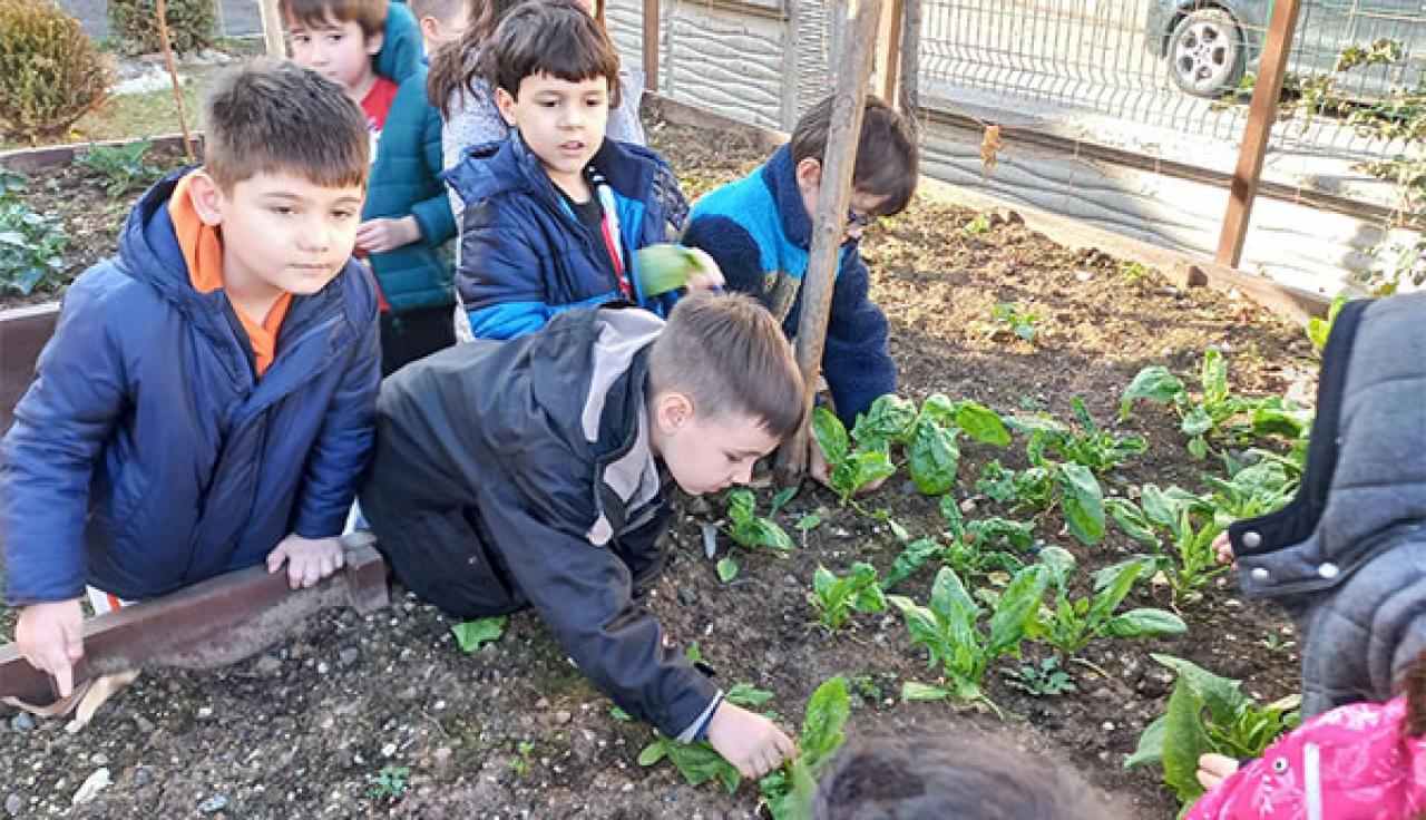 Çankayalı Çocuklar Bostanda