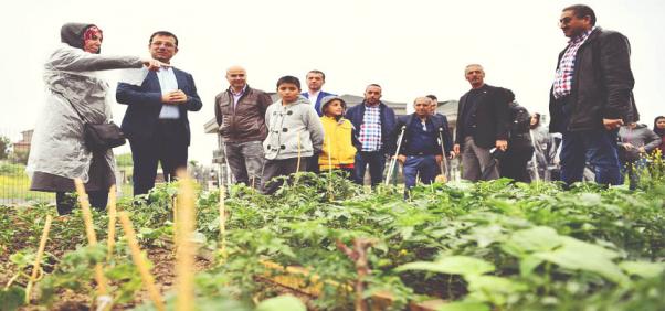 TOPRAKLA BULUŞAN ELLER ÜRÜNLERİNİ TOPLAMAYA BAŞLADI