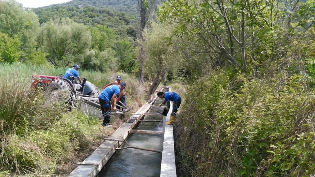 Büyükşehir’den Muğla Tarımına Destek