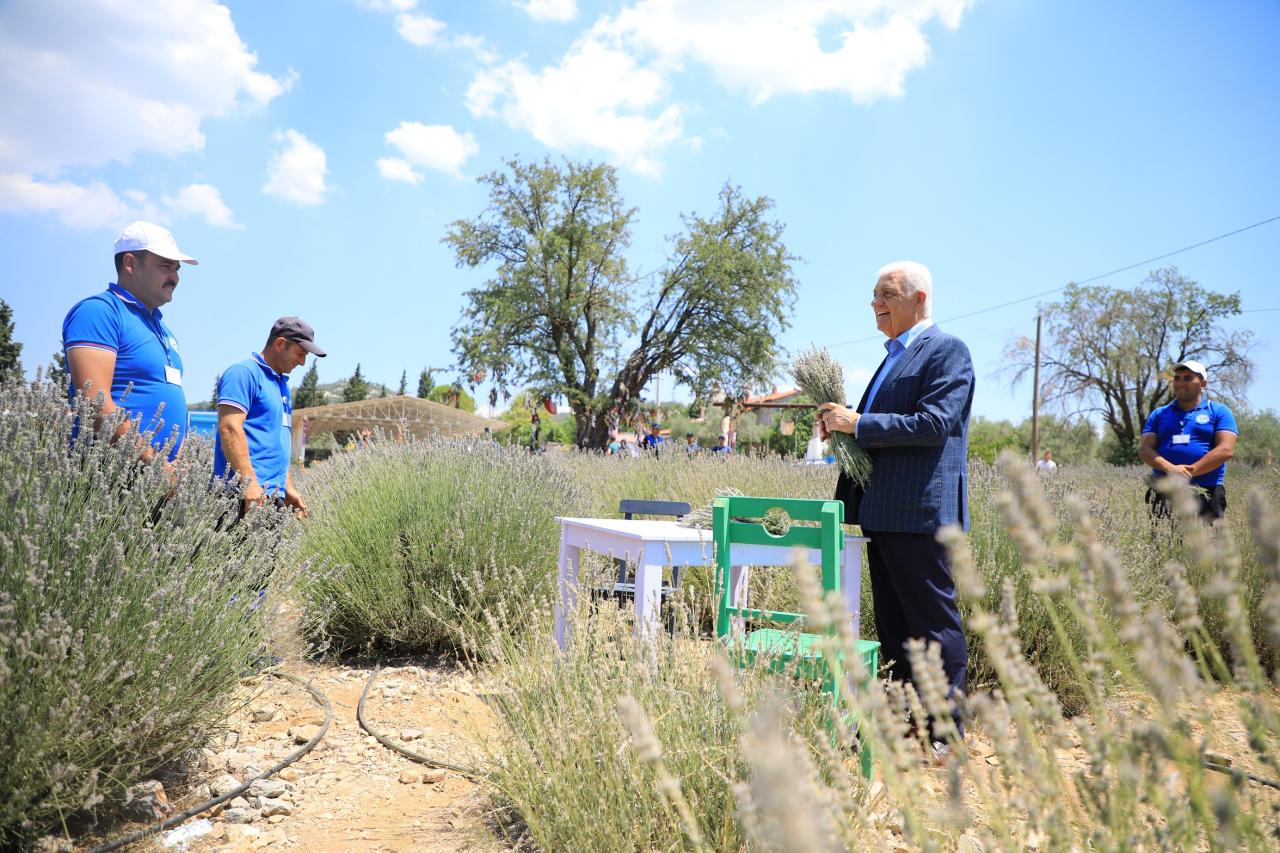 Lavanta Bahçesi Yeni Sezona Hazırlanıyor