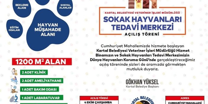 Kartal Belediyesi Sokak Hayvanları Tedavi Merkezi Açılıyor