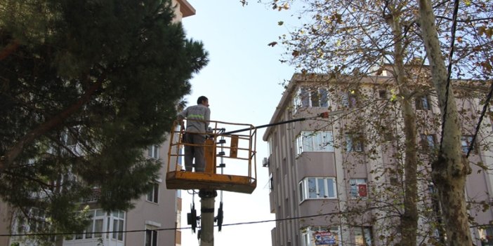 Kartal’da Ağaçlar Budanmaya Başladı