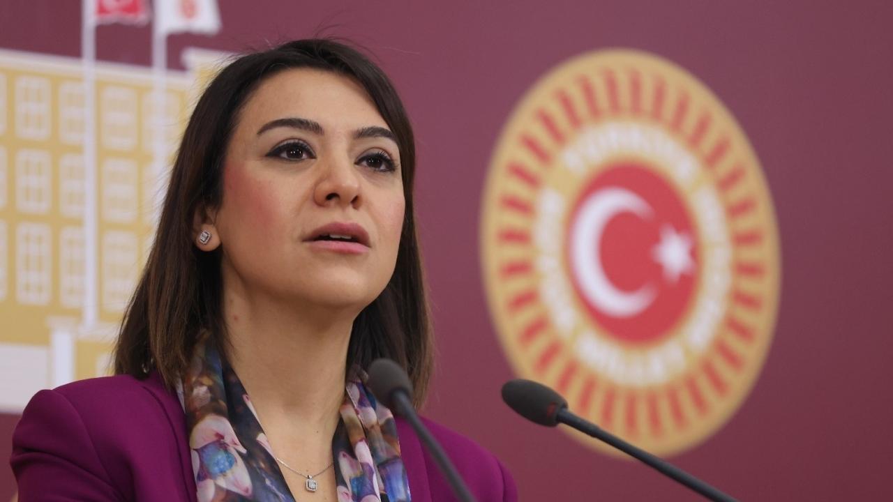 Gamze Taşcıer: “Yine Mağdur Edilecek Gruplar Olacak mı Diye Dikkatle Takip Ediyoruz”