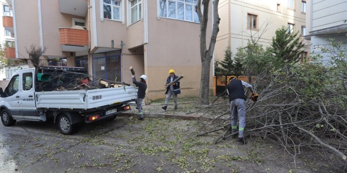 Kartal’da Ağaç Budama Çalışmaları Devam Ediyor