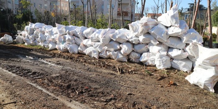 Kartal’da Budanan Ağaç Dalları İhtiyaç Sahiplerine Yakacak Oluyor