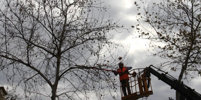 Kartal’da Budanan Ağaçlar İhtiyaç Sahiplerine Yakacak Olarak Geri Dönüyor