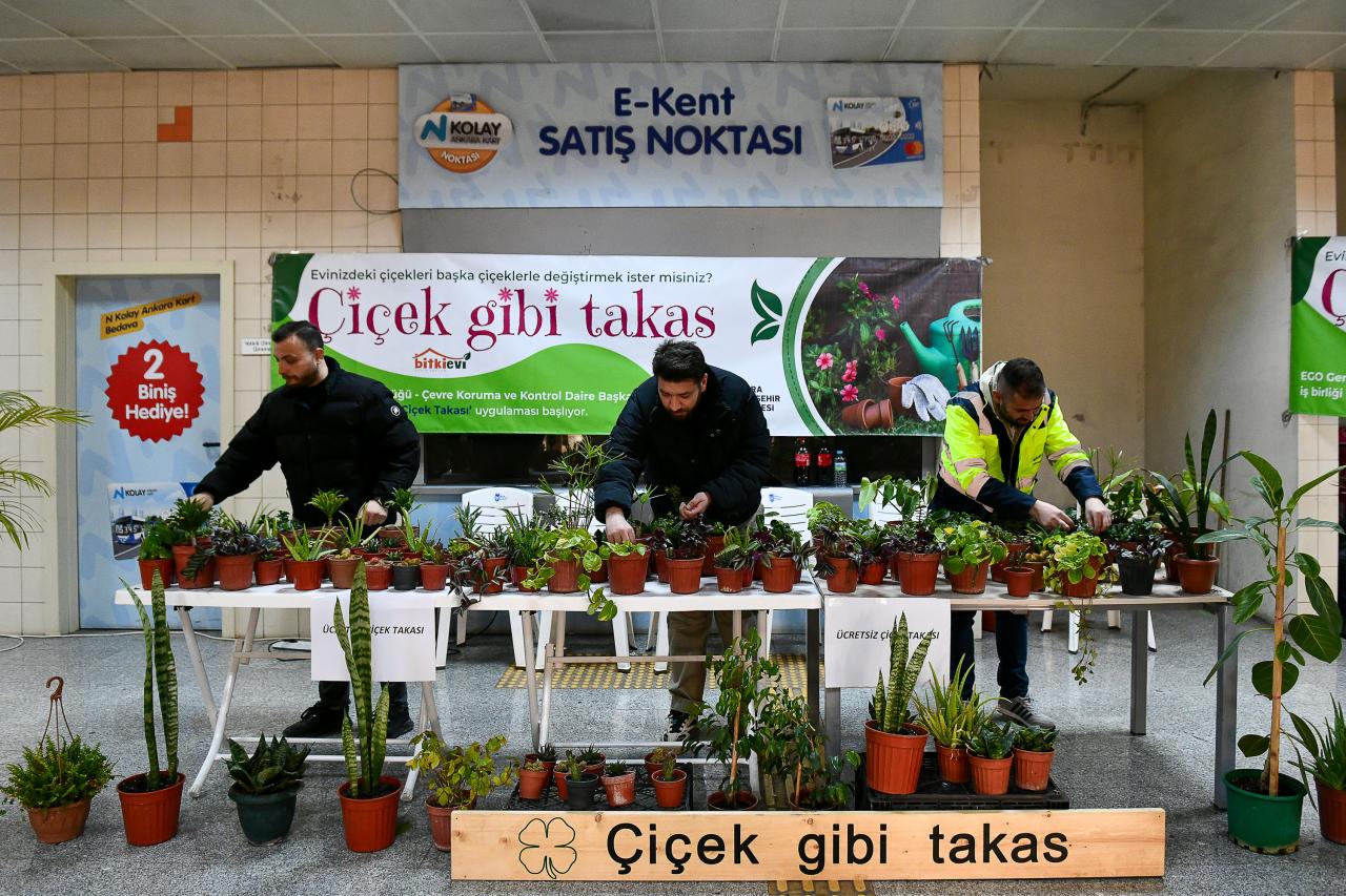 ANKARA BÜYÜKŞEHİR BELEDİYESİ “ÇİÇEĞİM TAKAS” UYGULAMASINA YENİDEN BAŞLADI