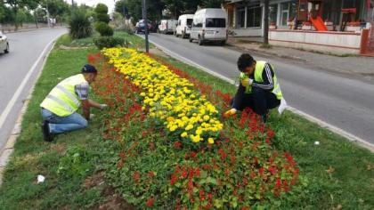 PARK VE BAHÇELERDE YAZ TEMİZLİĞİ