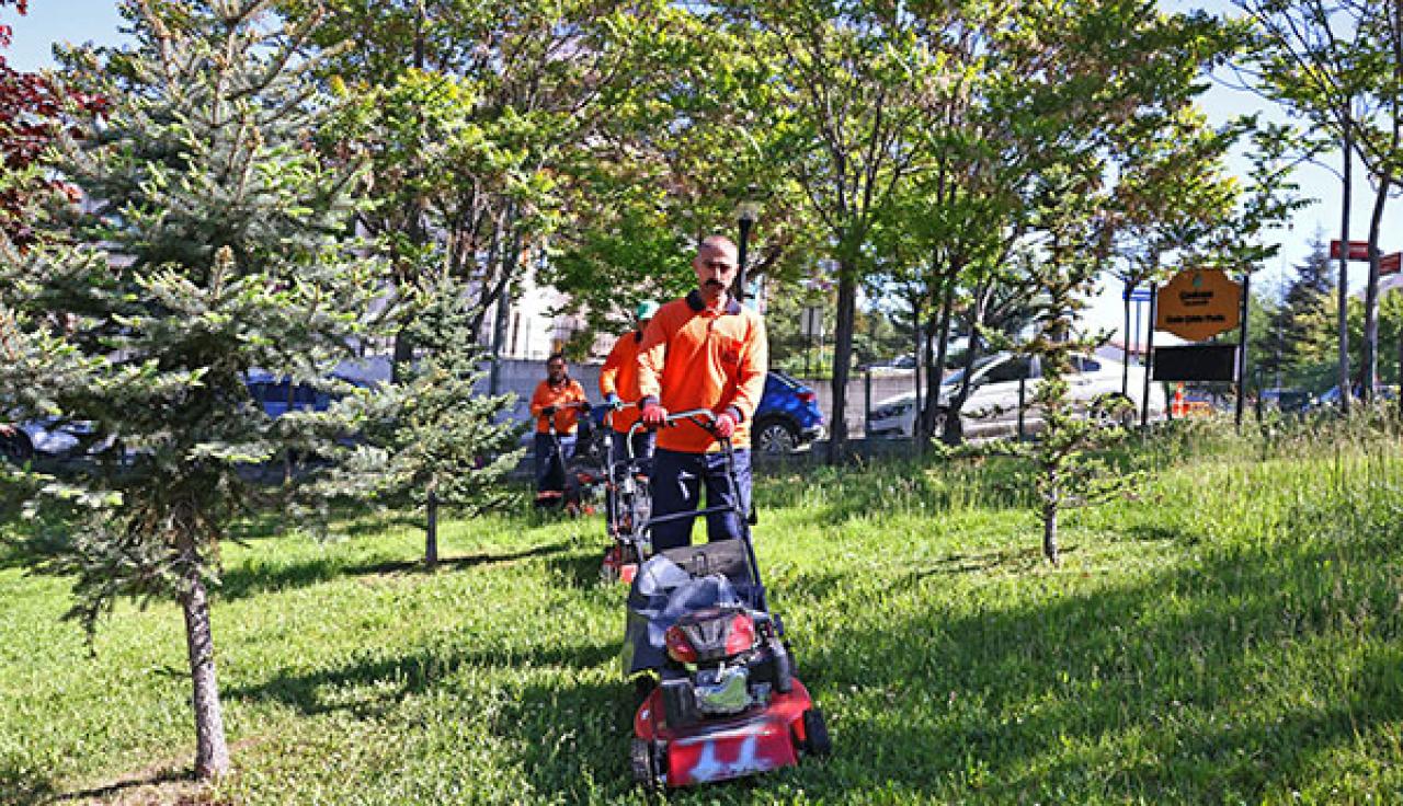 Çankaya Parklarına Kapsamlı Bakım