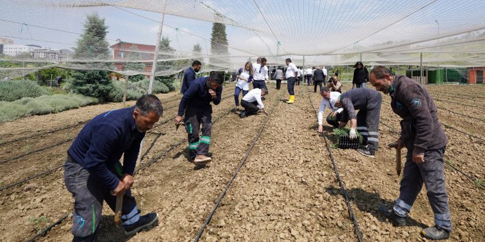 YAŞAM BAHÇESİ’NDE YAZLIK FİDELER TOPRAKLA BULUŞTU