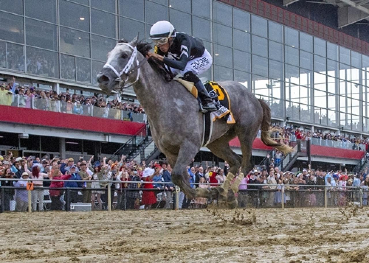 149. Preakness Stakes’te zafer Seize The Grey’in oldu