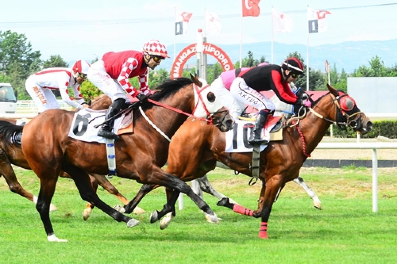 Orhangazi Koşusu'nu Bornovalım kazandı