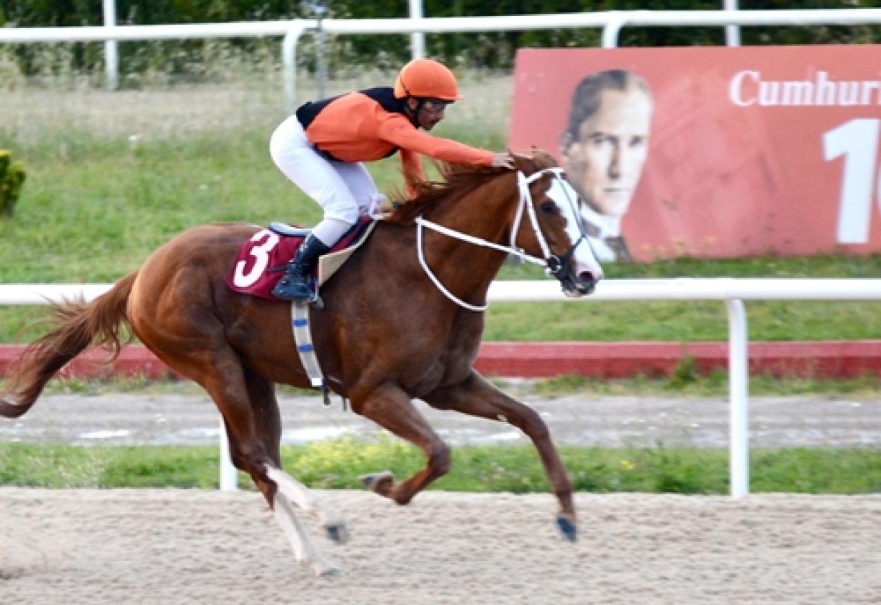 Kocaeli Sanayi Odası Koşusu’nda galibiyete Wardenclyffe ulaştı