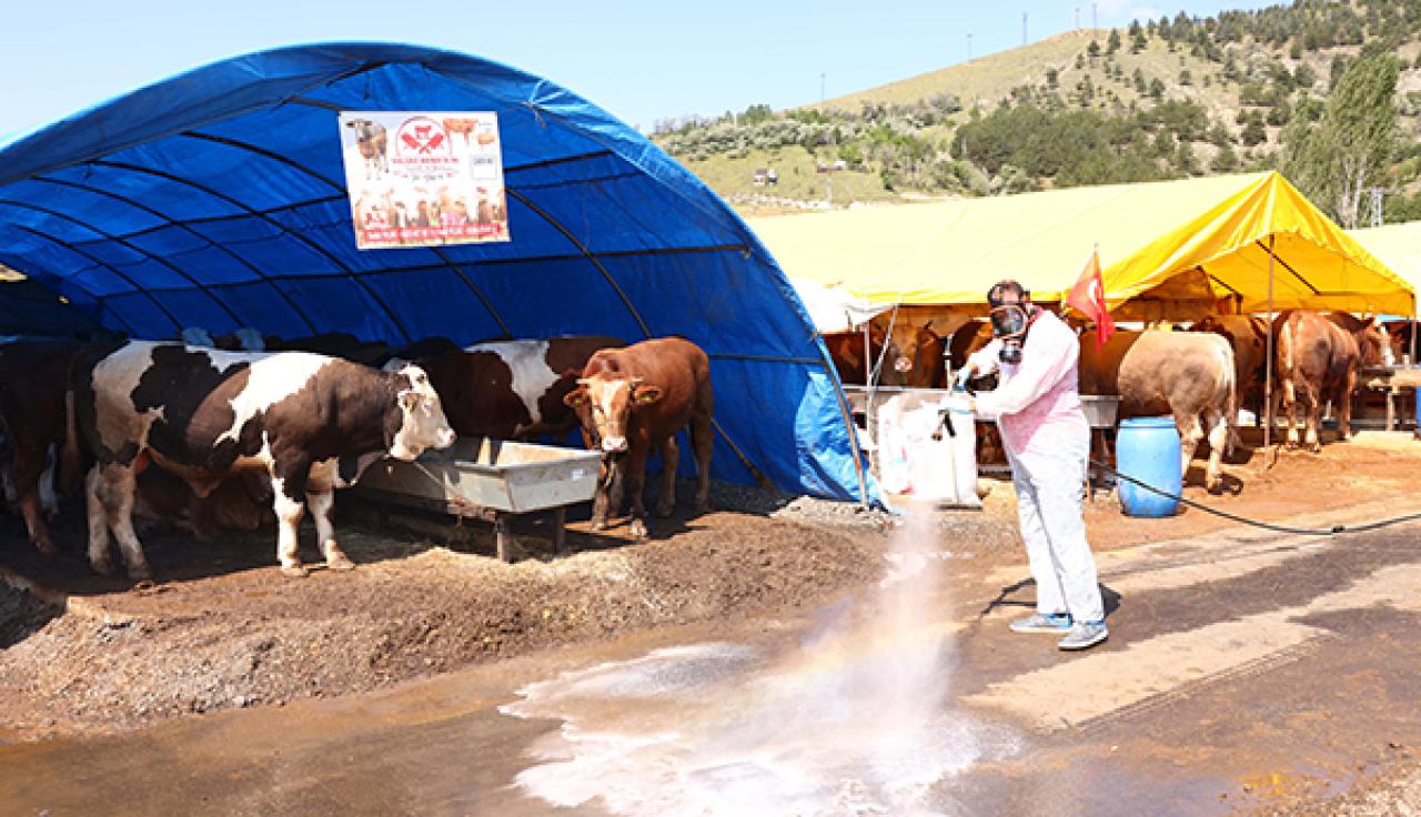 Çankaya Belediyesinin Kurban Satış Alanı Hazır