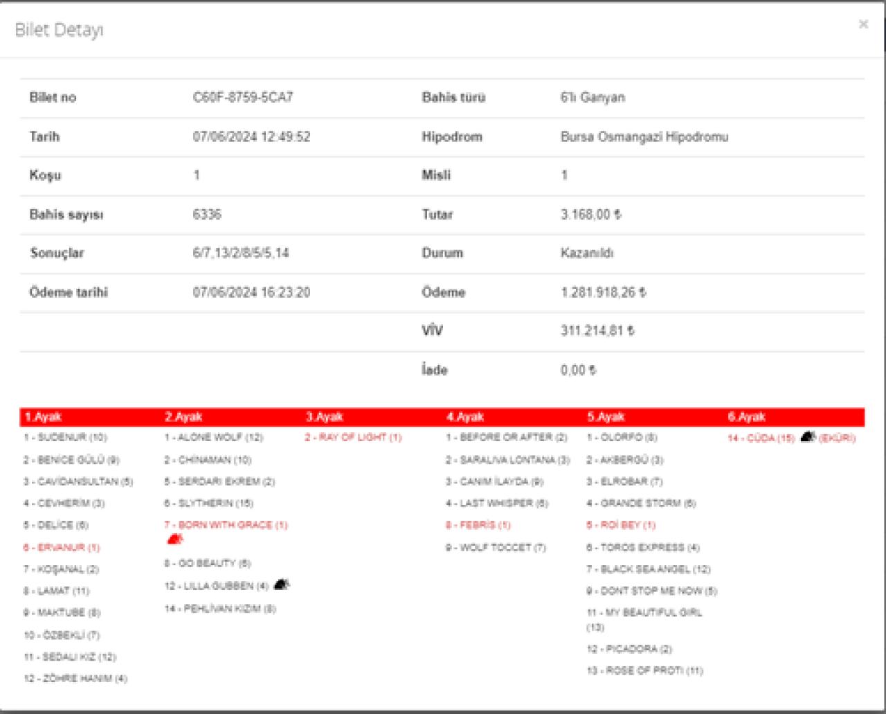 Bursa yarışlarında 1. 6’lı Ganyan 1.593.133 TL kazandırdı