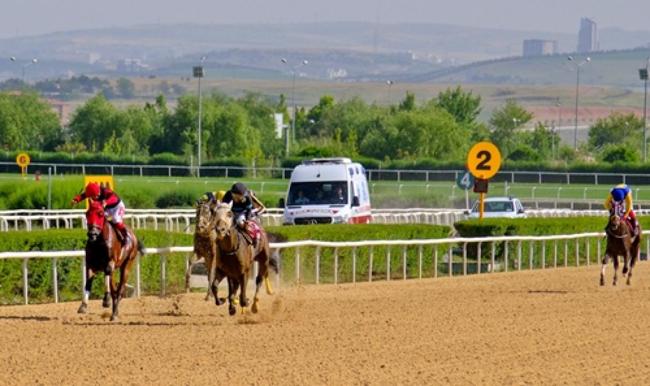 İçişleri Bakanlığı Koşusu'nu Knight Of The Road kazandı