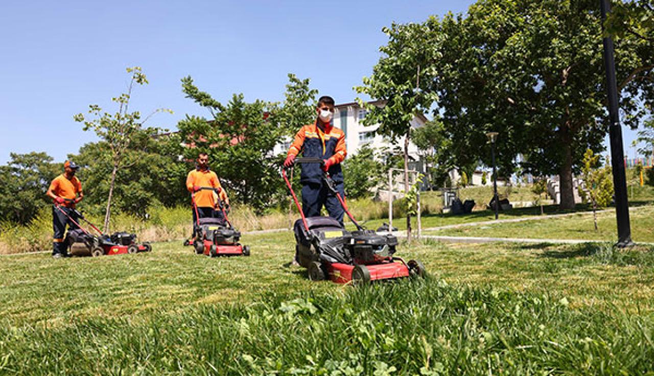 Çankaya Parklarında Çim Biçme Mesaisi