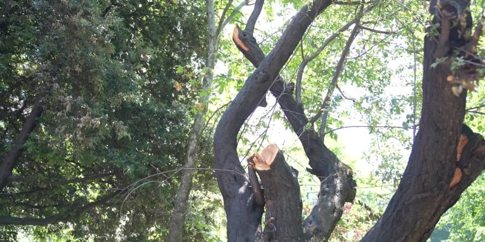 KADIKÖY’DE VANDALLAR TARAFINDAN YAKILAN PARK YENİLENDİ