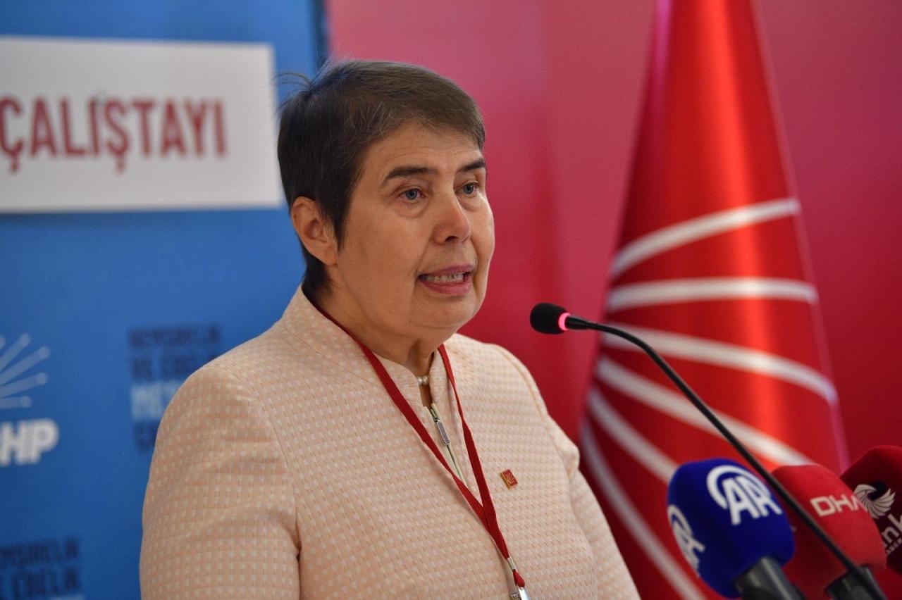 Zeliha Aksaz Şahbaz: “Şov Amaçlı Açılan Hastaneler, Hasta Güvenliğini Tehdit Eder Duruma Gelmiştir”