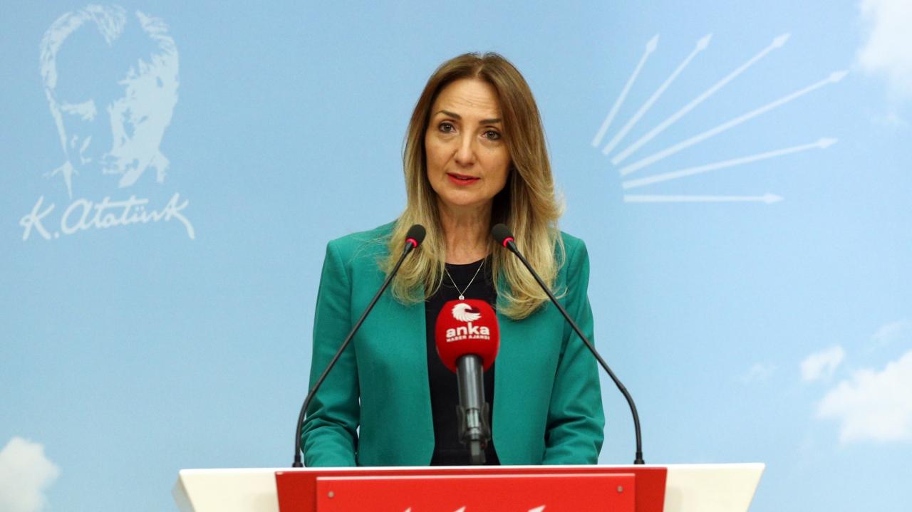 Aylin Nazlıaka: Bakanlık Eylem Planını Uygulamak İçin Neyi Bekliyor?