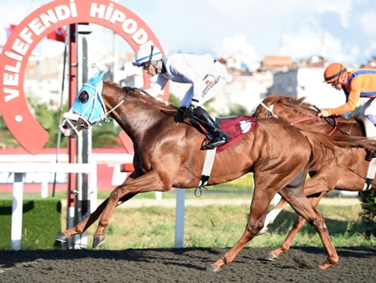 Horse Racing Ireland Koşusu’nu The King Siayer kazandı