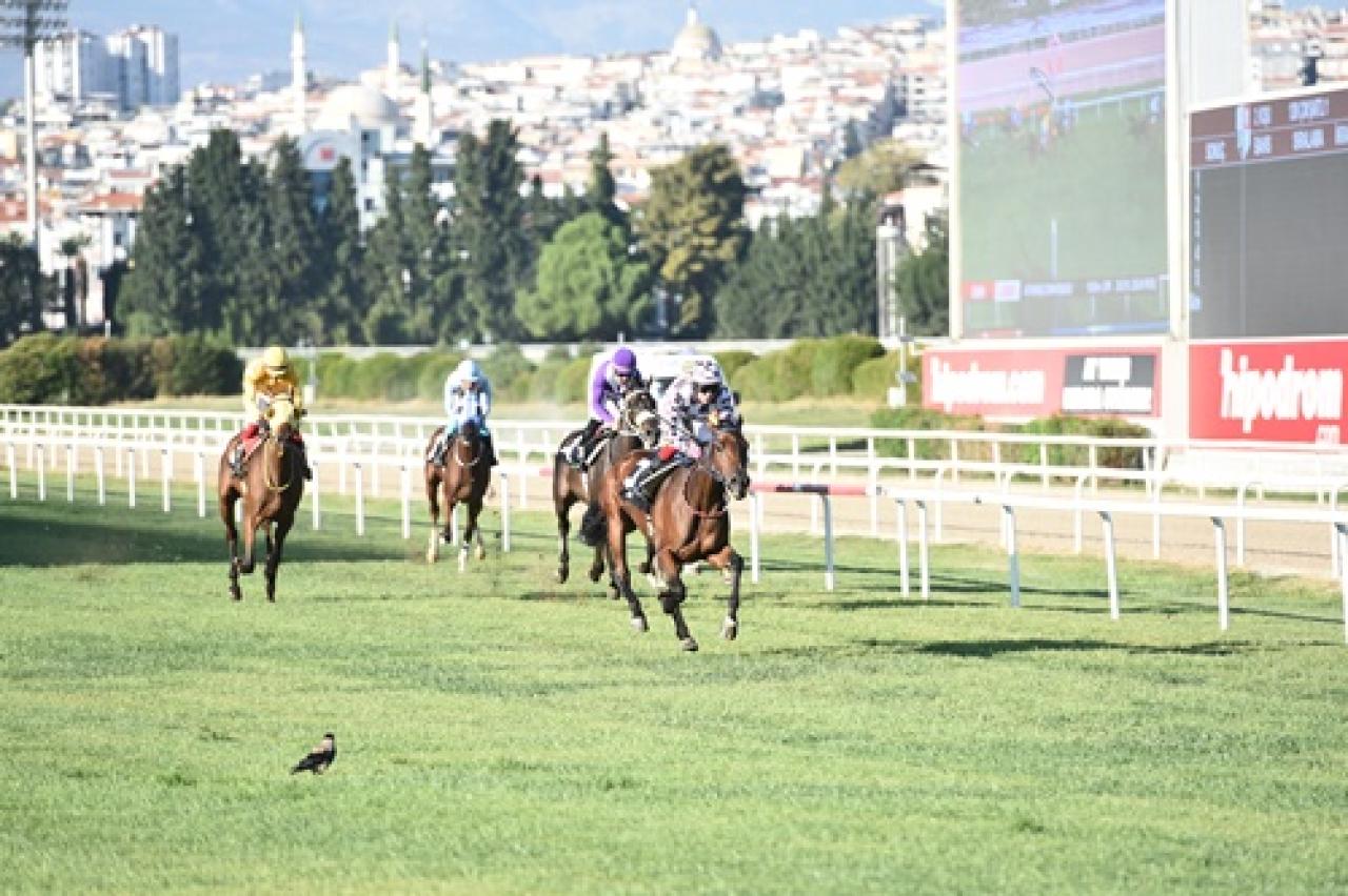 Atyarışı.com koşuları İzmir'de gerçekleştirildi