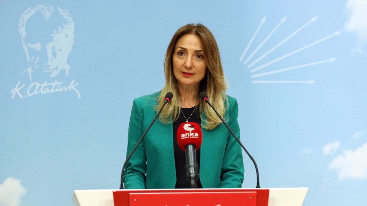 Aylin Nazlıaka: Ankara Çocuk Evleri Koordinasyon Merkezi’nde Neler Oluyor?