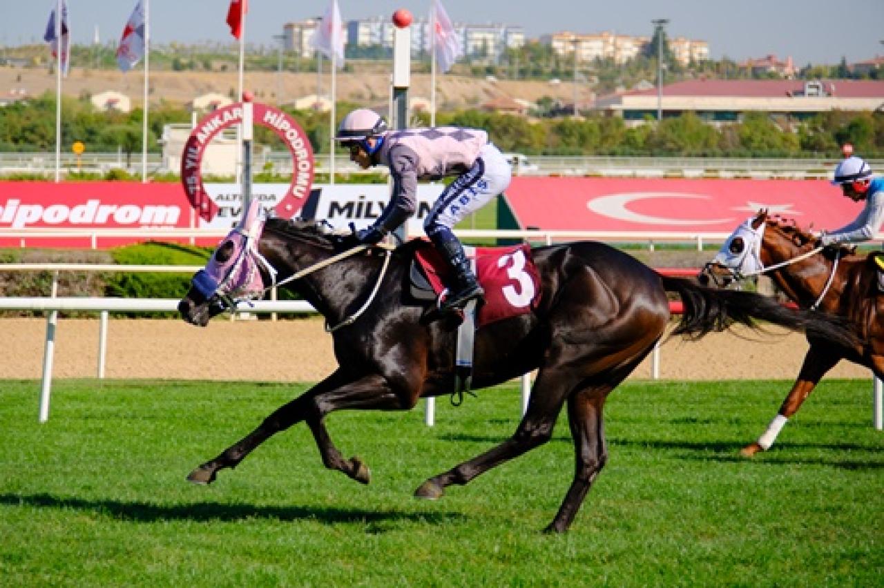 Prof. Dr. Tevfik Başer Koşusu’nu Battle For Glory kazandı