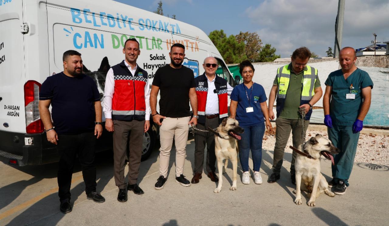 176 sokak köpeği bekçi köpeği oldu!