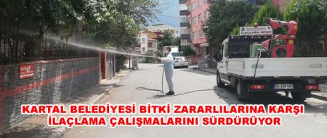 KARTAL BELEDİYESİ BİTKİ ZARARLILARINA KARŞI İLAÇLAMA ÇALIŞMALARINI SÜRDÜRÜYOR