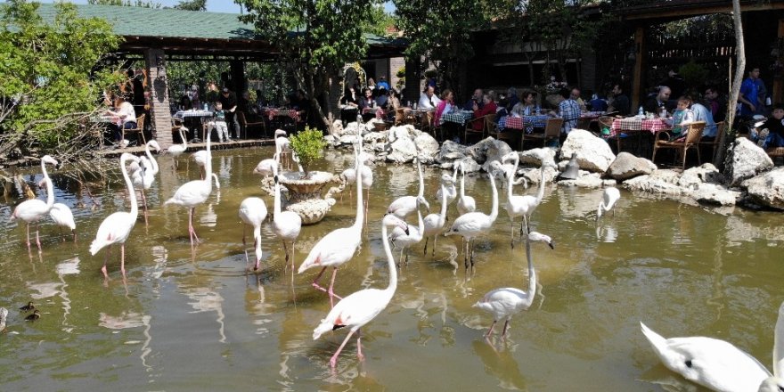 "Flamingolu Köy" Anneler Günü’nde Ziyaretçi Akınına Uğradı