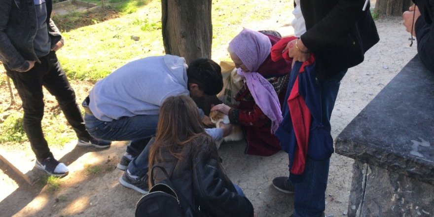 Edirnekapı Şehitliği’nde “evcil kedi” seferberliği kamerada