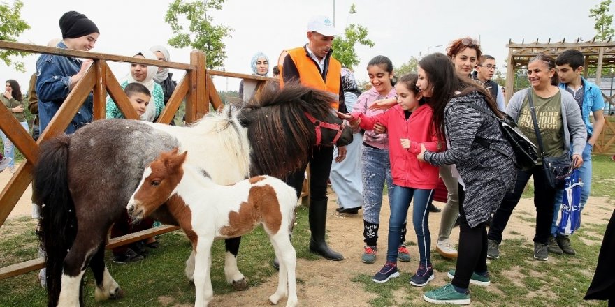 Sultangazi’de at binme tesisleri çocukların ilgi odağı