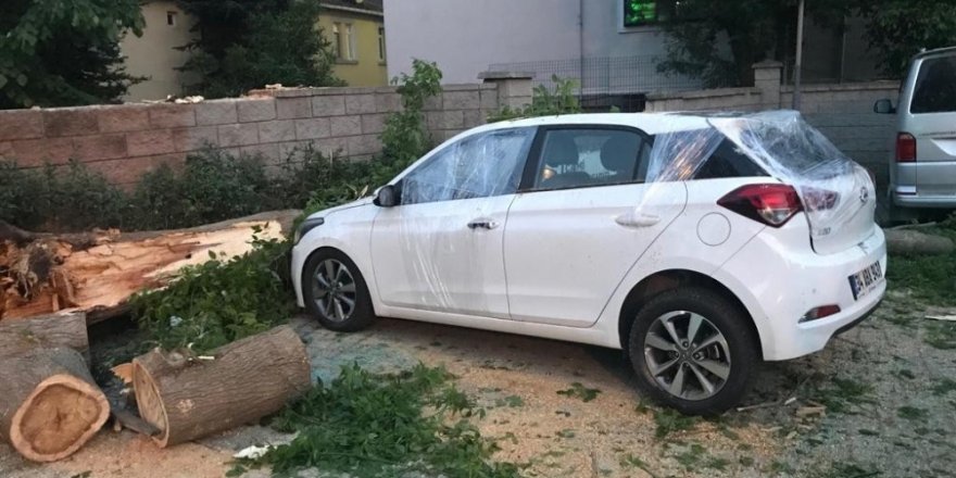 Cami bahçesindeki aracın üzerine ağaç devrildi