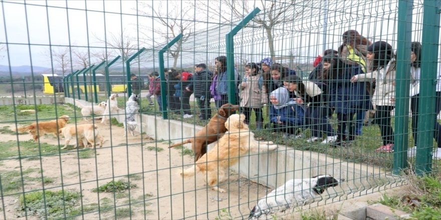 'BAHÇEMDE SEVGİ' EĞİTİMİ