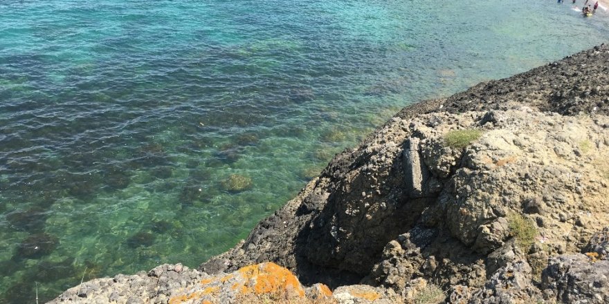 Beykoz’da aile pikniği az kalsın faciaya dönecekti