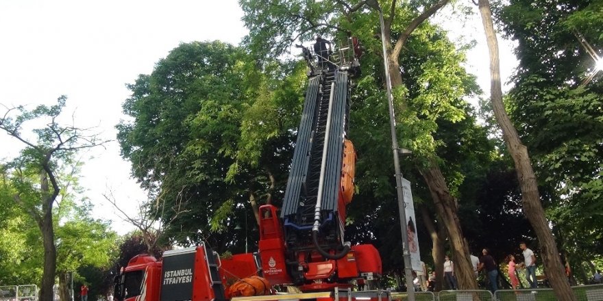 Taksim’de ağaçta mahsur kalan kedi itfaiyeye zor anlar yaşattı