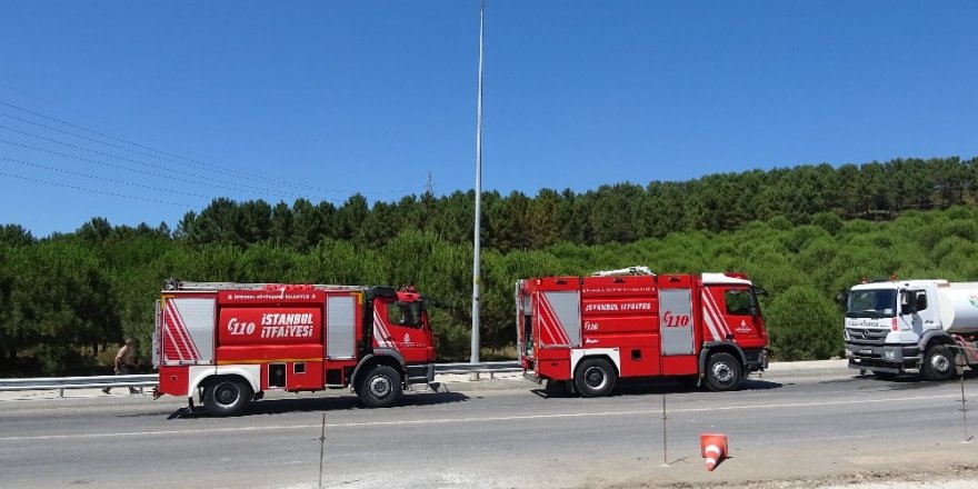 Tuzla’da ormanlık alanda yangın paniği