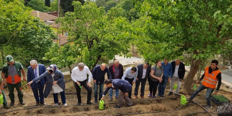 İstanbul’un göbeğinde köy hayatı