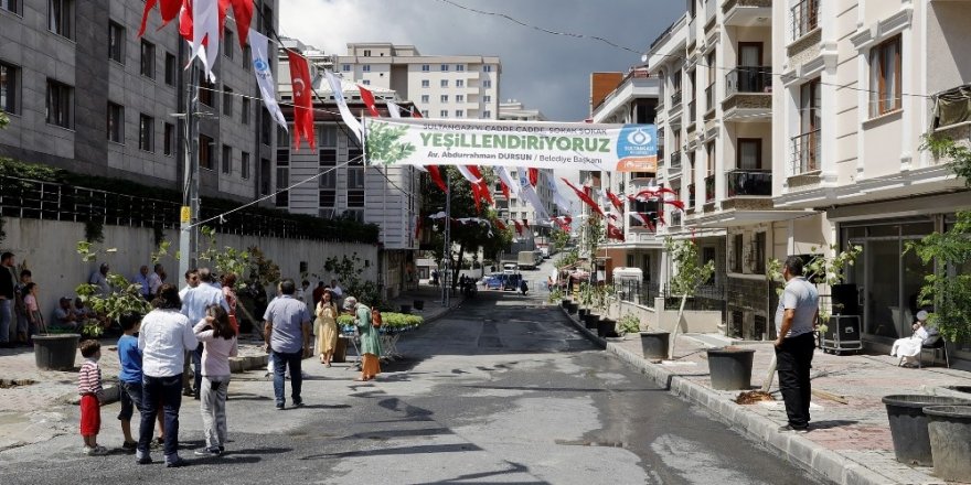 SULTANGAZİ’DE SOKAKLAR AĞAÇ FİDELERİYLE BULUŞUYOR