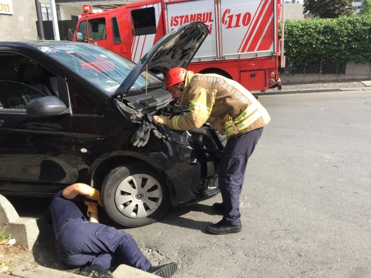 İnatçı yavru kedi itfaiye ekiplerine zor anlar yaşattı