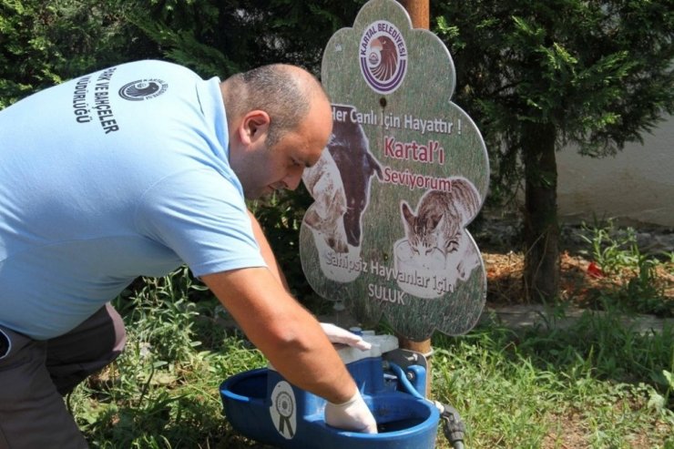 Kartal’da park bakım çalışmaları devam ediyor