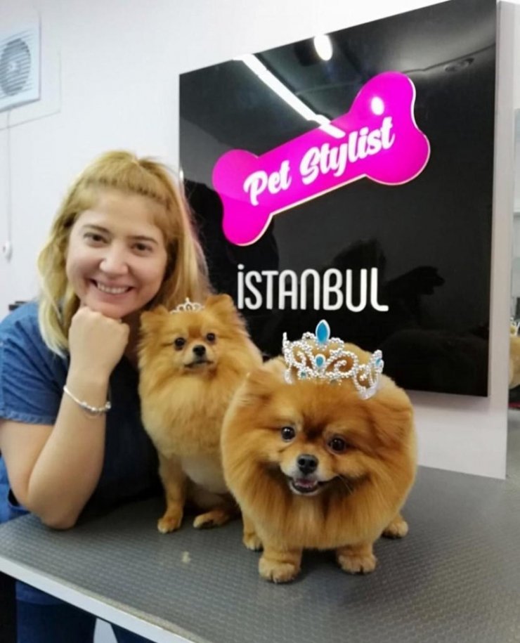 Pet kuaförü hizmeti almak isteyenlere 5 altın kural